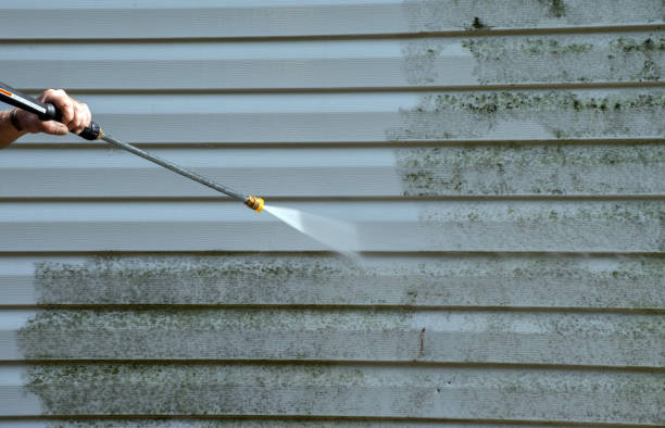 Best Commercial Building Pressure Washing  in Dundee, MI