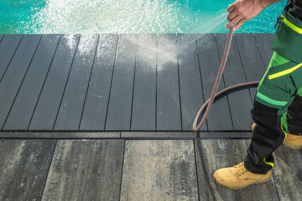 Best Roof Power Washing Services  in Dundee, MI