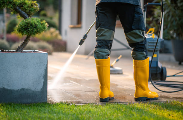Best Pressure Washing Company Near Me  in Dundee, MI